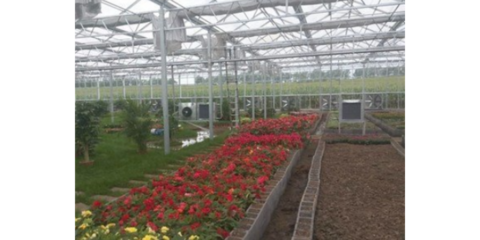 谷城特色農業信息咨詢服務 賦能鄉村振興，創造產業輝煌