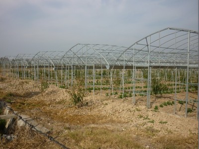 源農溫室 專業溫室大棚銷售、安裝與維修服務