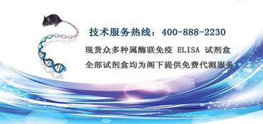 酶聯(lián)免疫 技術(shù)服務